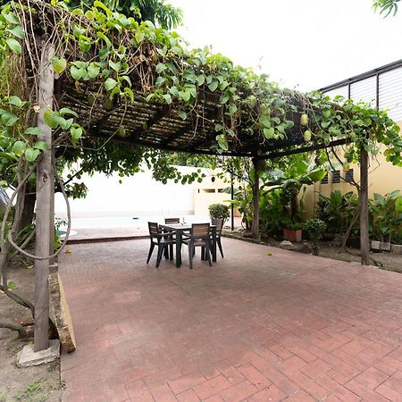 Volcano Hostal Y Restaurante サンサルバドル エクステリア 写真