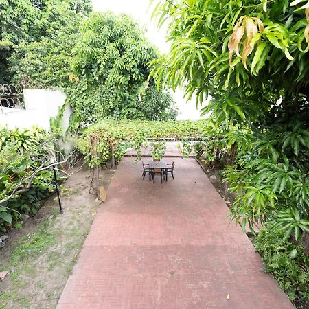 Volcano Hostal Y Restaurante サンサルバドル エクステリア 写真