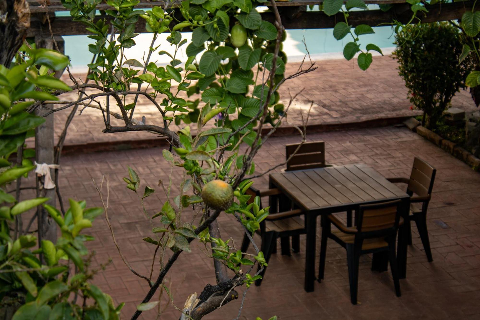 Volcano Hostal Y Restaurante サンサルバドル エクステリア 写真